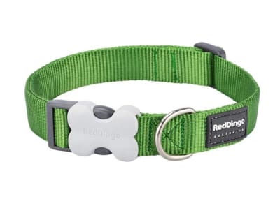 REDDINGO COLLAR DOG CLASSIC GREEN1