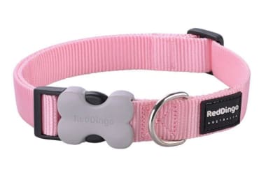 REDDINGO COLLAR DOG CLASSIC PINK- (LARGE 25mm)