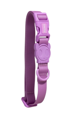 ZEEDOG COLLAR NEOPRENO ULTRA VIOLETA1