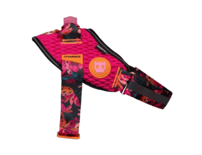 ZEEDOG SELVA FLYHARNESS1