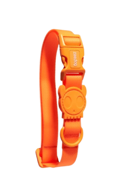 ZEEDOG COLLAR NEOPRO TANGERINE- MEDIUM1