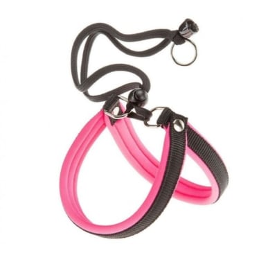 FERPLAST ARNES AGILA FLUO ROSADO (XXS)1