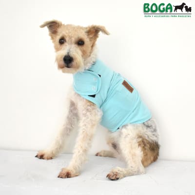 BOGA FAJA RELAJANTE TURQUESA1