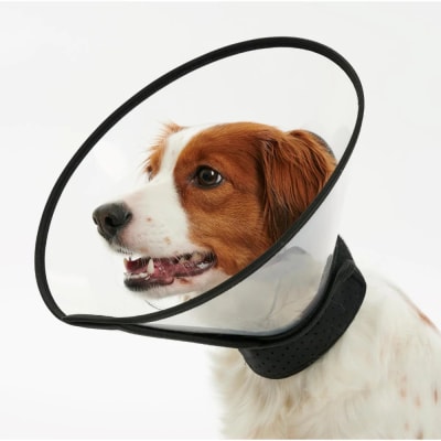 KRUUSE COLLAR  ISABELINO COMPLETO