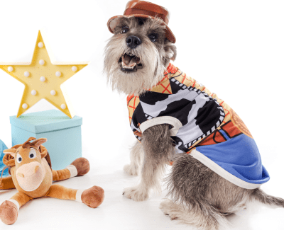 DISFRAZ SCRAPPIE SHOPPER DISFRAZ BUDDY