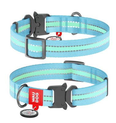 WAUDOG COLLAR NYLO HEBILLA -FASTEX DE METAL AZUL PERRO