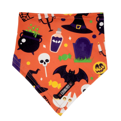 COSHUPET BANDANA HALLOWEEN BRUJAS-MEDIUM1