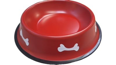 ACCECAN PLATO HUESO YBS-BL-I18