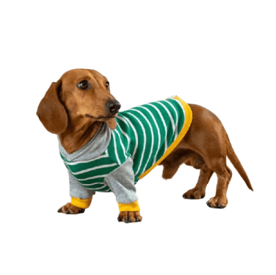 HOT DOGZ HOODIE GREEN STRIPES-XS
