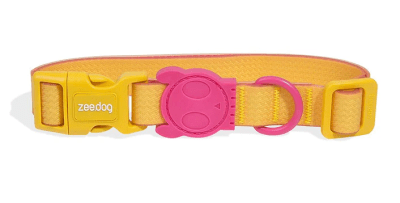 ZEEDOG COLLAR NEOPRENO LYRA1