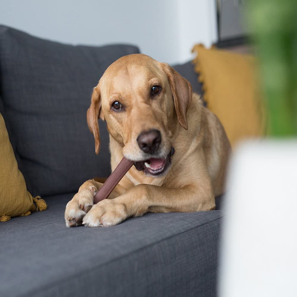 PETSTAGES BULLY CHEW ALTERNATIVE Pet Más