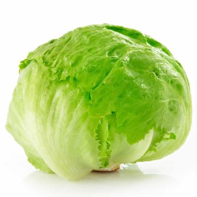 LECHUGA LECHUGA