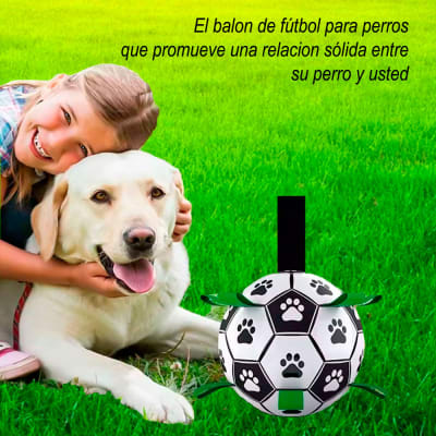 Pelota para Perros de Nylon con Tiras Verde
