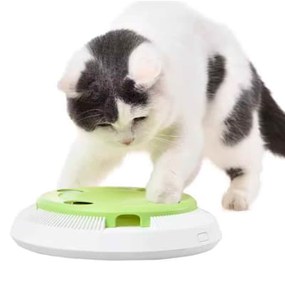 Juguete para Gatos Base Plato con Pluma Giratoria Blanco/Verde, ljq0131