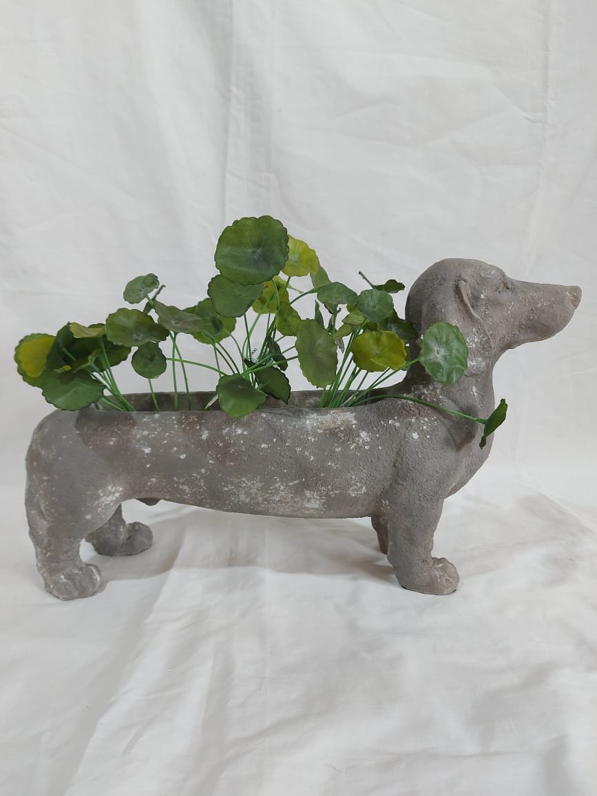 Perro Salchicha Macetero | La Batea Deco