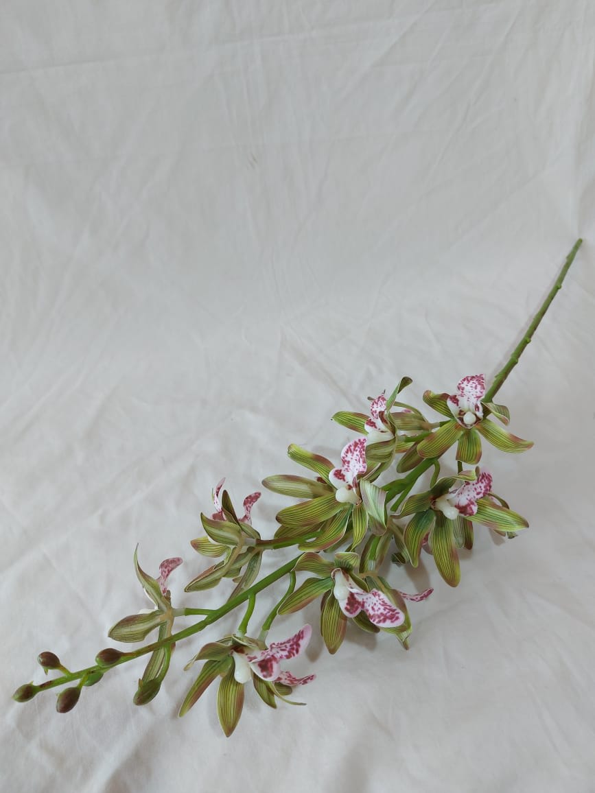 Orquídea Enana Verde | La Batea Deco