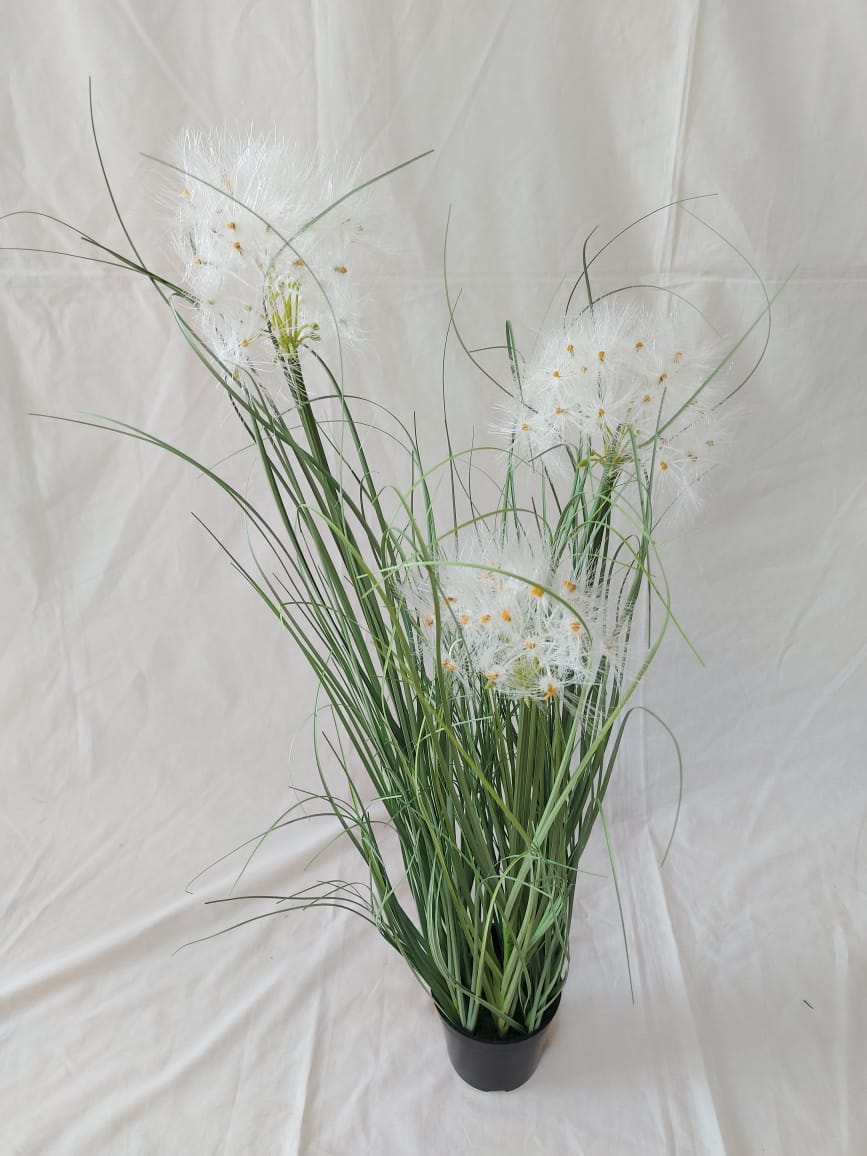 Cola de Zorro Brotes Amarillos | La Batea Deco