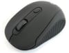 Mouse1