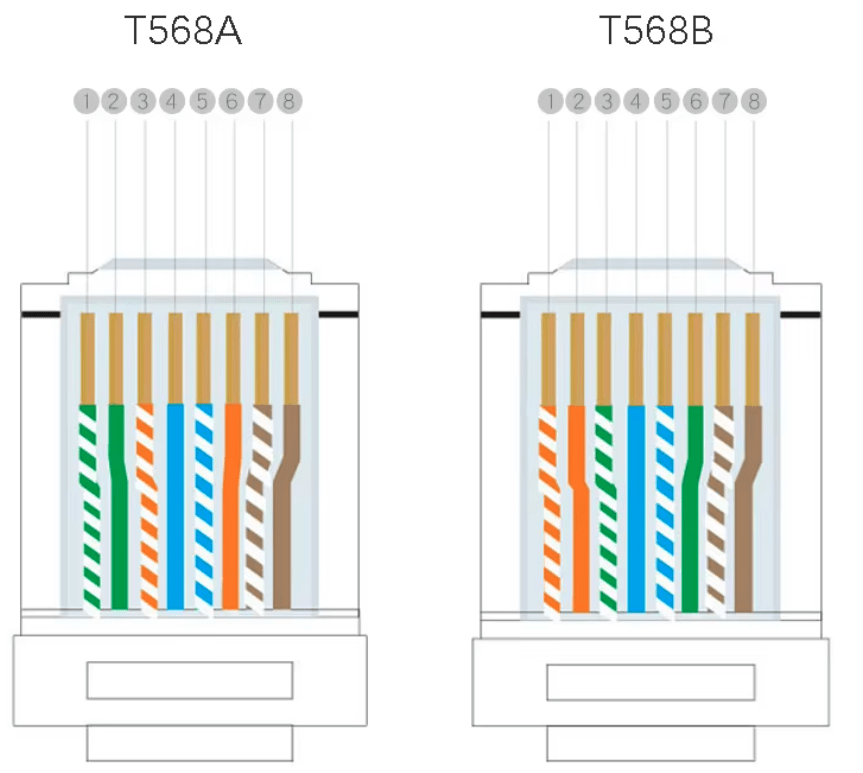 Conector RJ-45 Cat6 blindado de enchufe para red Ethernet macho con Guía 10 x Unidades5