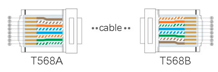 Conector RJ-45 Cat6 blindado de enchufe para red Ethernet macho con Guía 100 x Unidades5