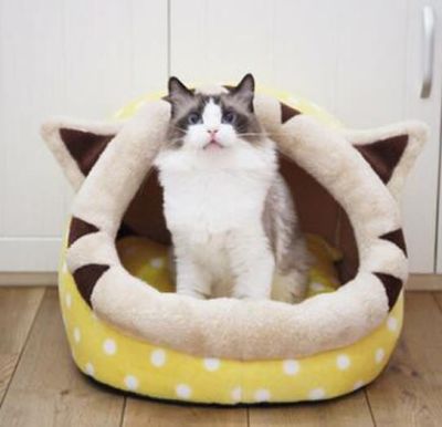 Cama Cojin Diseño Gato Amarillo mascota Talla L2