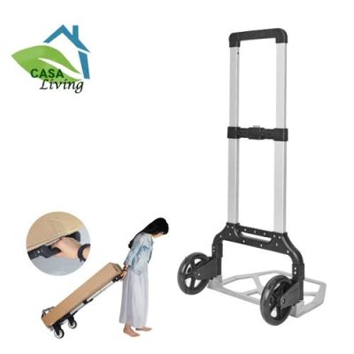 carro plegable yegua1