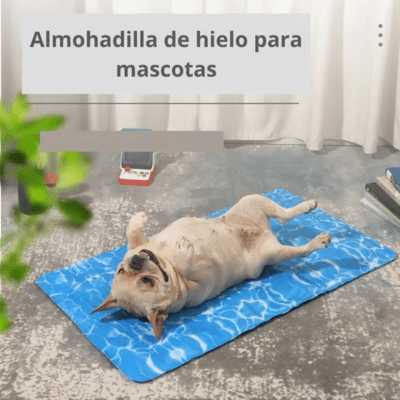 Manta Refrescante De Gel Frio Para Mascotas Verano2