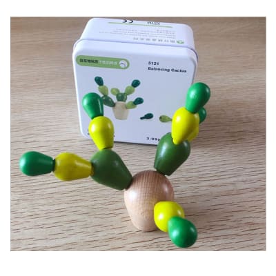 Cactus Equilibrista2