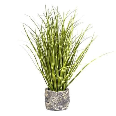 MINI GRASS ZEBRA1