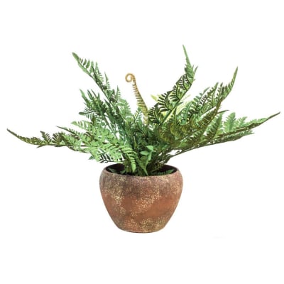 HELECHO EN MACETERO DE MACHE1