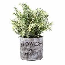 ROMERO EN MACETERO DE MADERA1