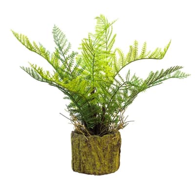 HELECHO EN MACETERO RÚSTICO1