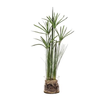 PAPIRO EN VARAS EN MACETERO DE VIDRIO 78 CM1