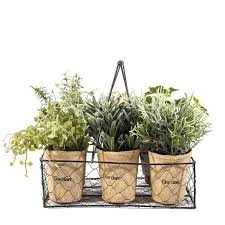 DECO 6 PLANTAS EN CANASTO METÁLICO1