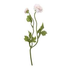 RANUNCULO DOBLE BABY PINK 38 CM1