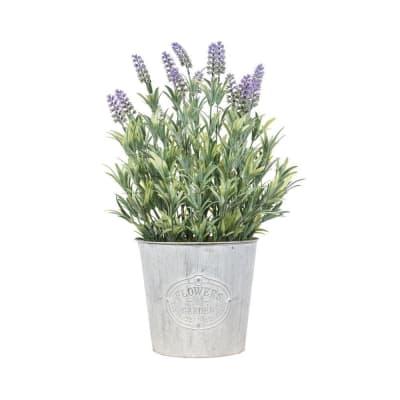 LAVANDA W/ POT - 15 TIPS1