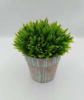 MINI ARBUSTO VERDE1