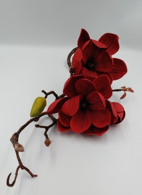 MAGNOLIA ROJA1