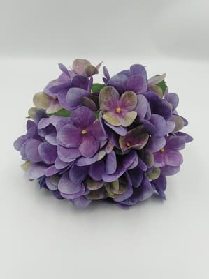 HORTENSIAS