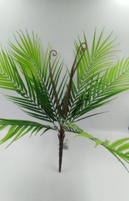 PALMERA EN RAMILLETE1