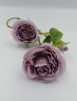 ROSAS INDIVIDUALES3