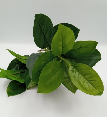 VARA DE HOJAS DE LIMON1