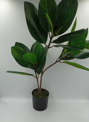 MINI ARBOL QUILLAY1