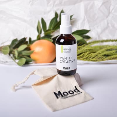 BRUMA MENTE CREATIVA1