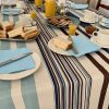  Stripe Bleu Mantel Antimanchas1