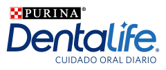 DentaLife