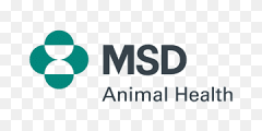 MSD