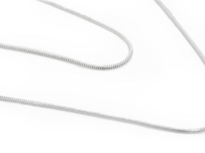 delicate snake - silver delicate snake - silver