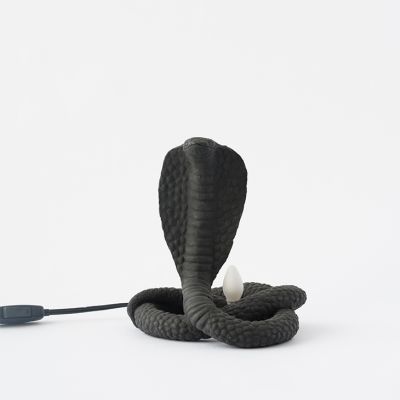 la serpiente de Pablo la serpiente de Pablo