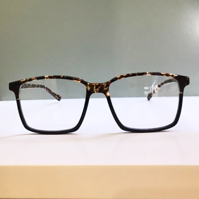 middlesbrough - leopard middlesbrough - leopard